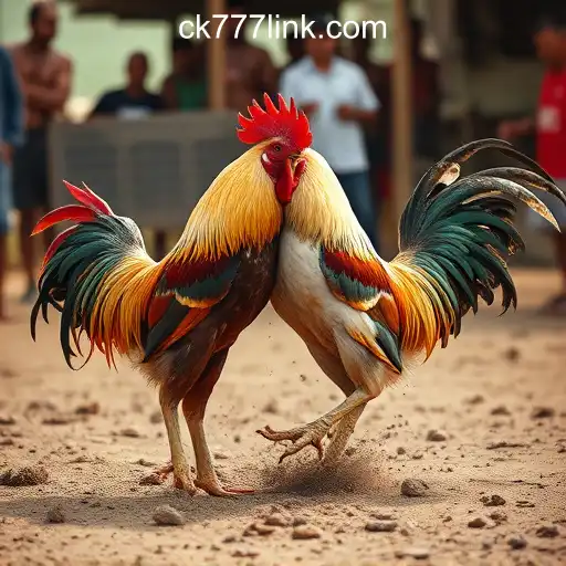 Cockfighting